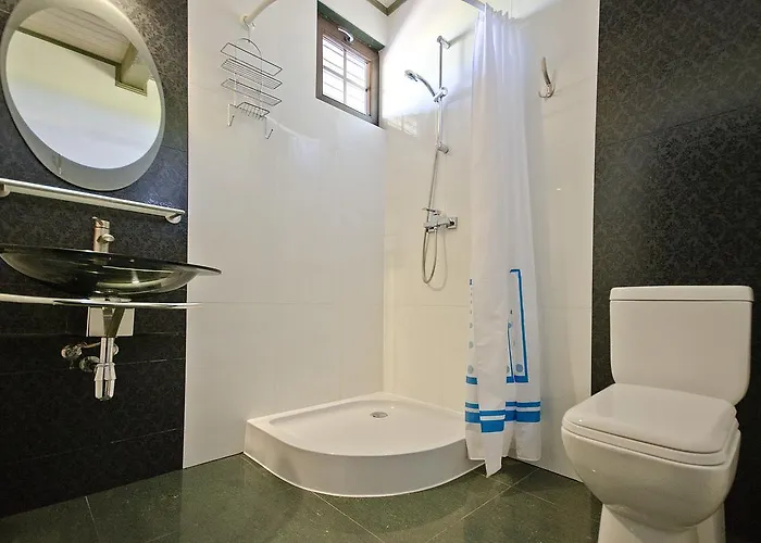 منتزه العطل Pod Strzecha دارووفكو